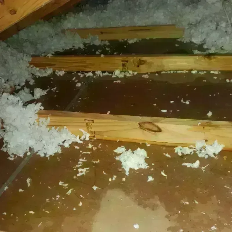 Attic Water Damage in Mount Morris, WI