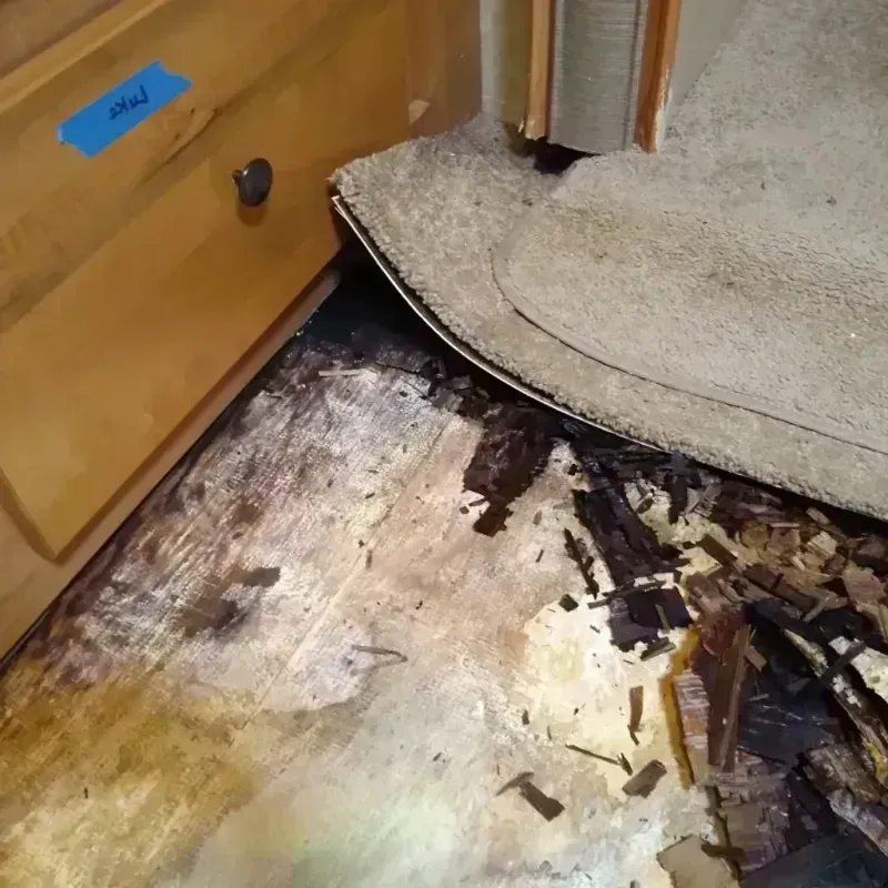 Wood Floor Water Damage in Mount Morris, WI